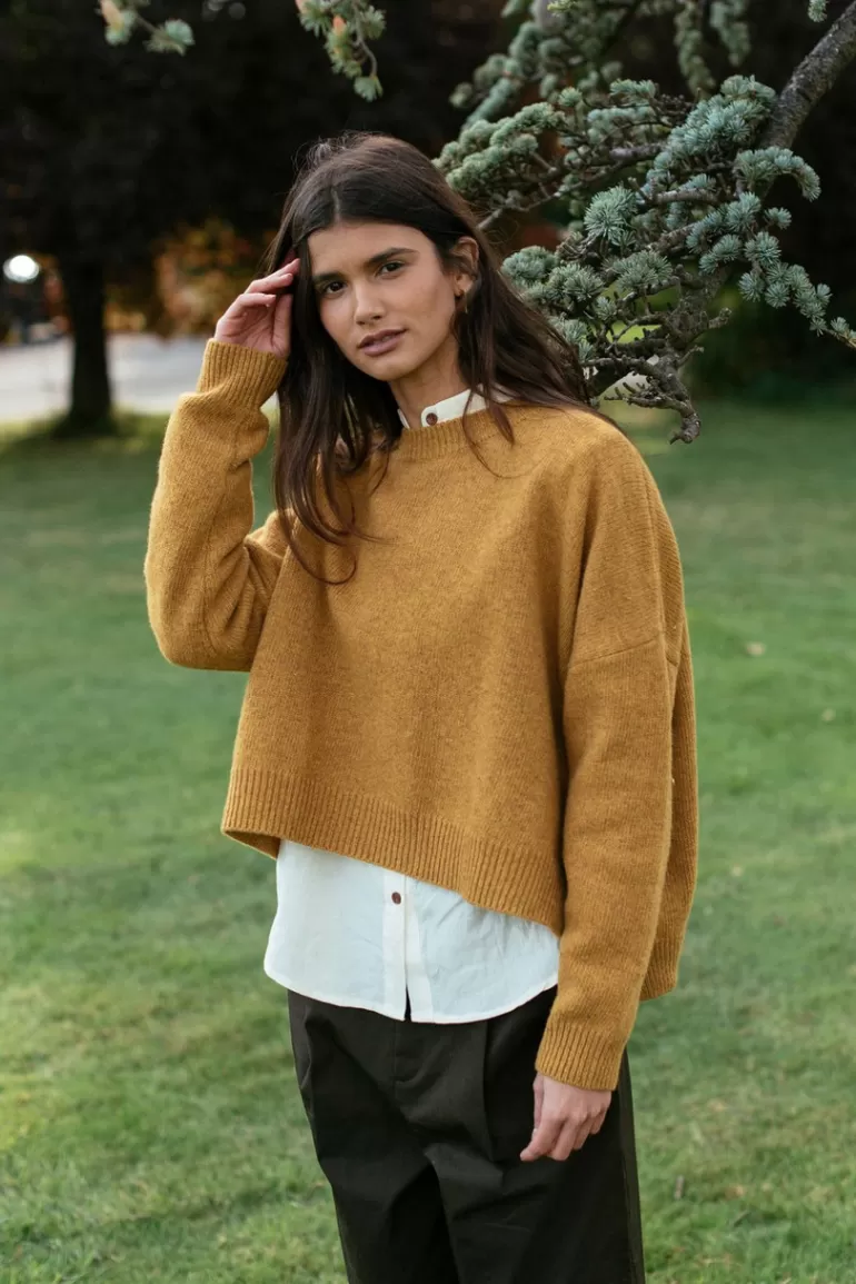 Women Olive Clothing Boucle Round Neck Jumper, Mustard