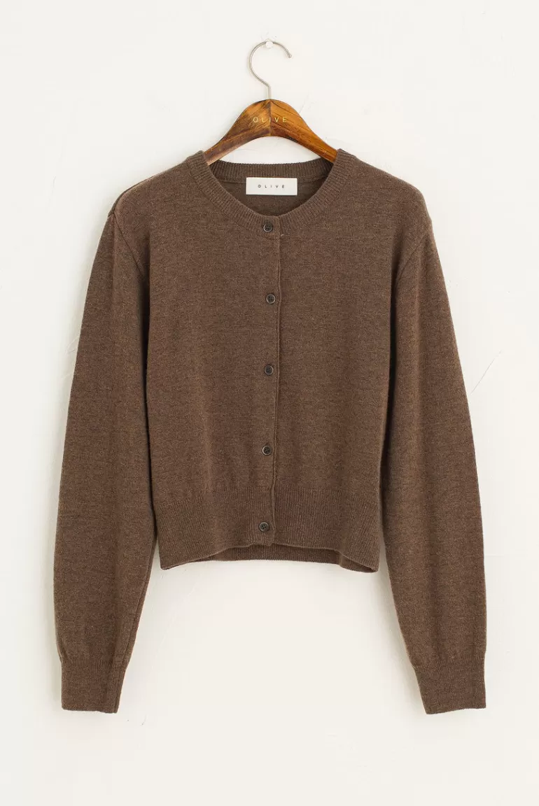 Women Olive Clothing Colour Contrast Cardigan, Brown