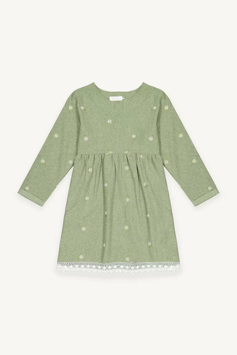 Women Olive Clothing Daisy Embroidered Babydoll Dress, Khaki