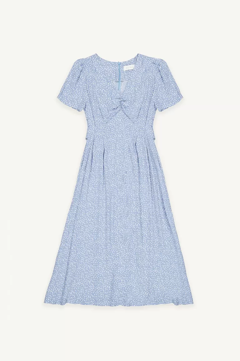 Women Olive Clothing Ditsy Flower V Neck Dress, Blue