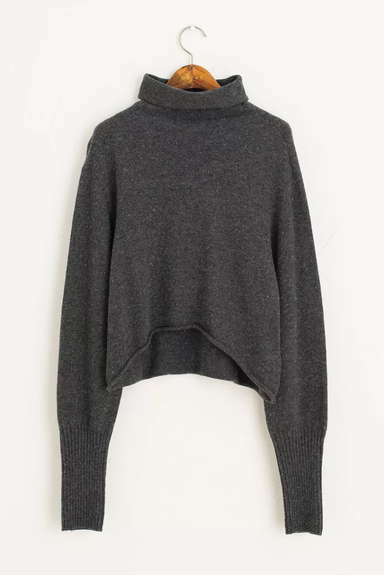Women Olive Clothing Flecked Roll Neck Crop Jumper, Grey