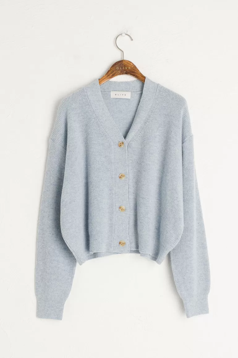 Women Olive Clothing Hako Lightweight Cardigan, Blue