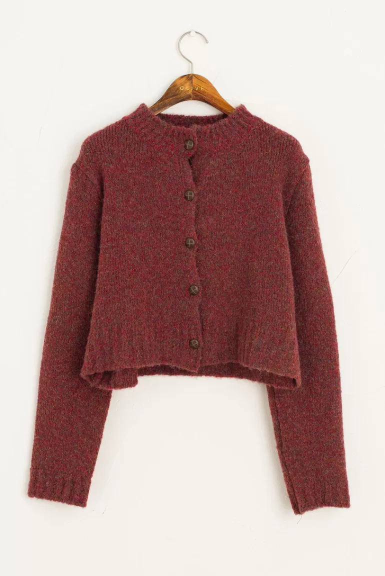 Women Olive Clothing Hana Mini Crop Cardigan, Hibiscus
