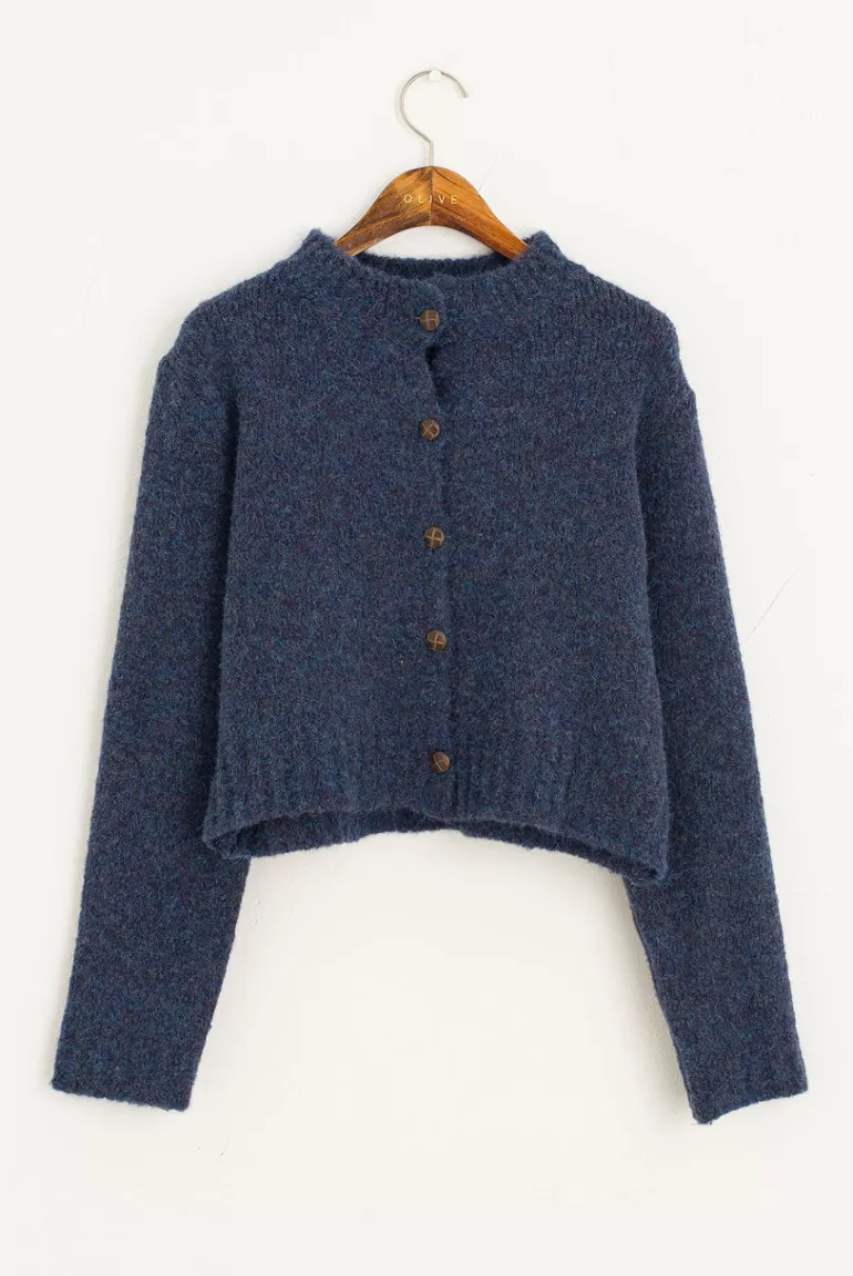 Women Olive Clothing Hana Mini Crop Cardigan, Slate Blue