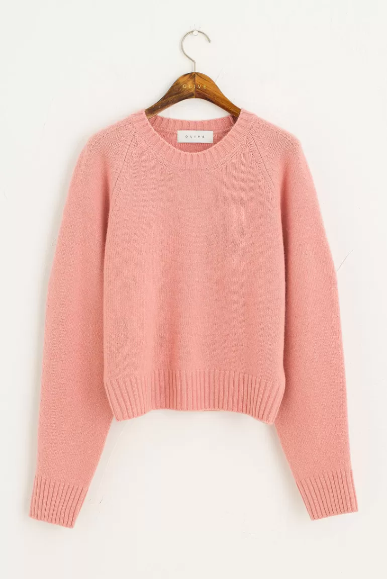 Women Olive Clothing Hana Wool Crew Neck Jumper, Pink