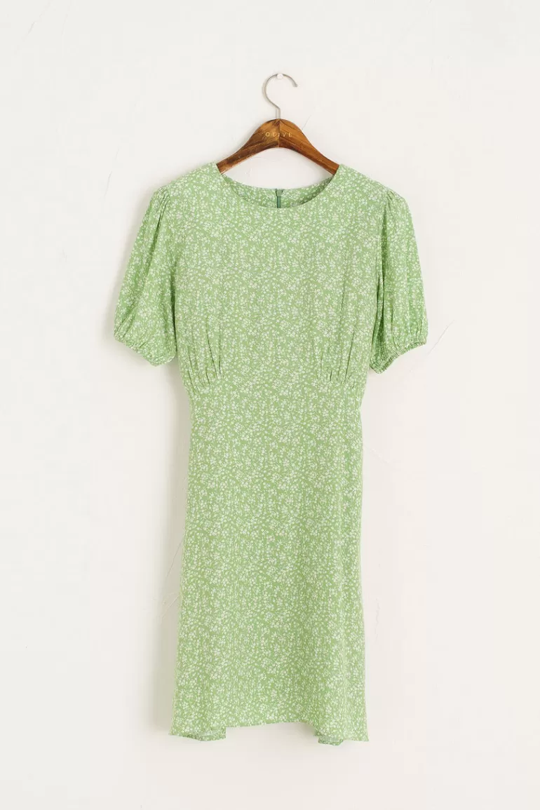 Women Olive Clothing Jina Baby Doll Dress, Green