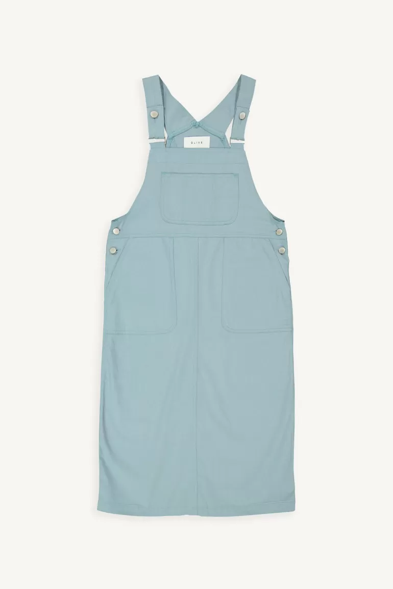 Women Olive Clothing Koya Overall Dress, Blue