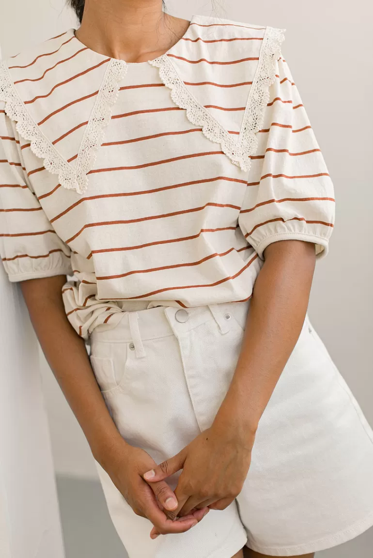 Women Olive Clothing Lace Collar Stripe Sweatshirt, Camel