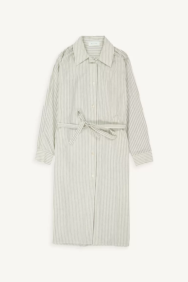 Women Olive Clothing Misu Pinstripe Dress, Ivory