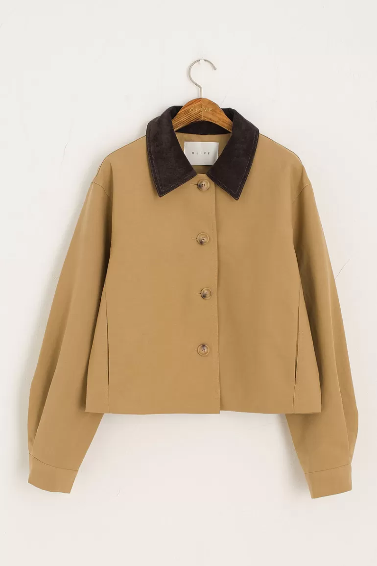 Women Olive Clothing Needlecord Collar Jacket, Beige