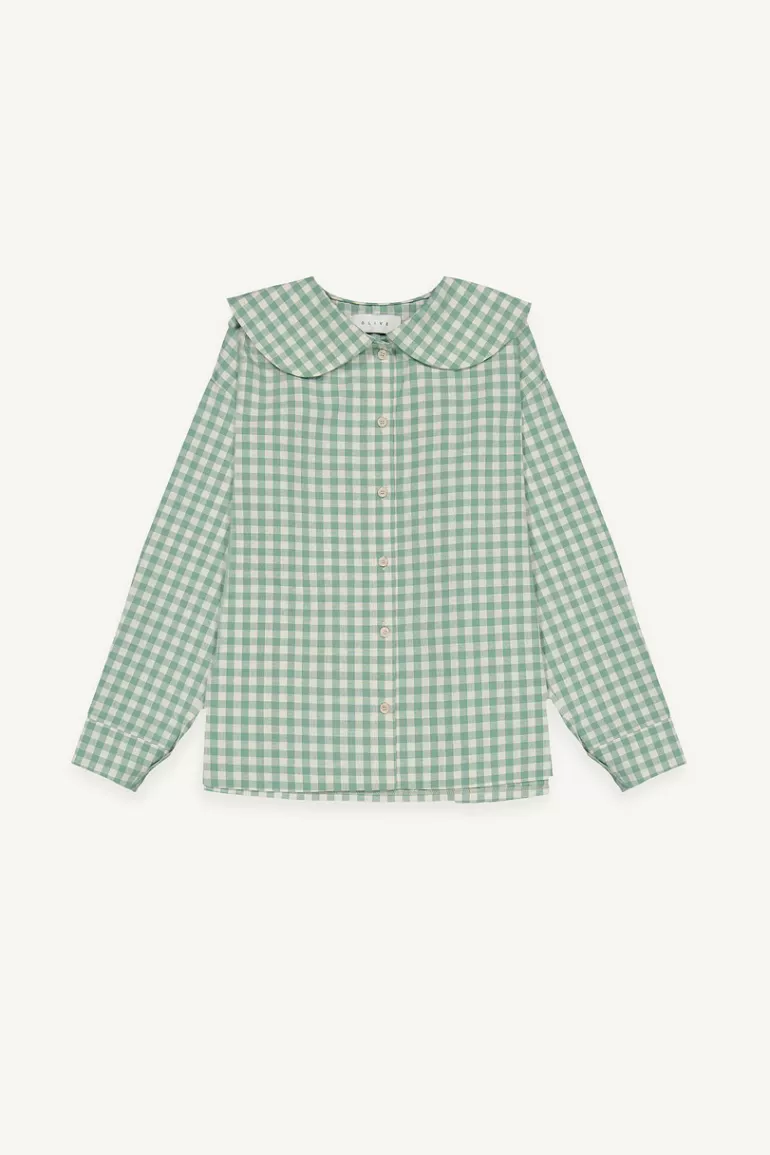 Women Olive Clothing Peter Pan Collar Gingham Blouse, Mint