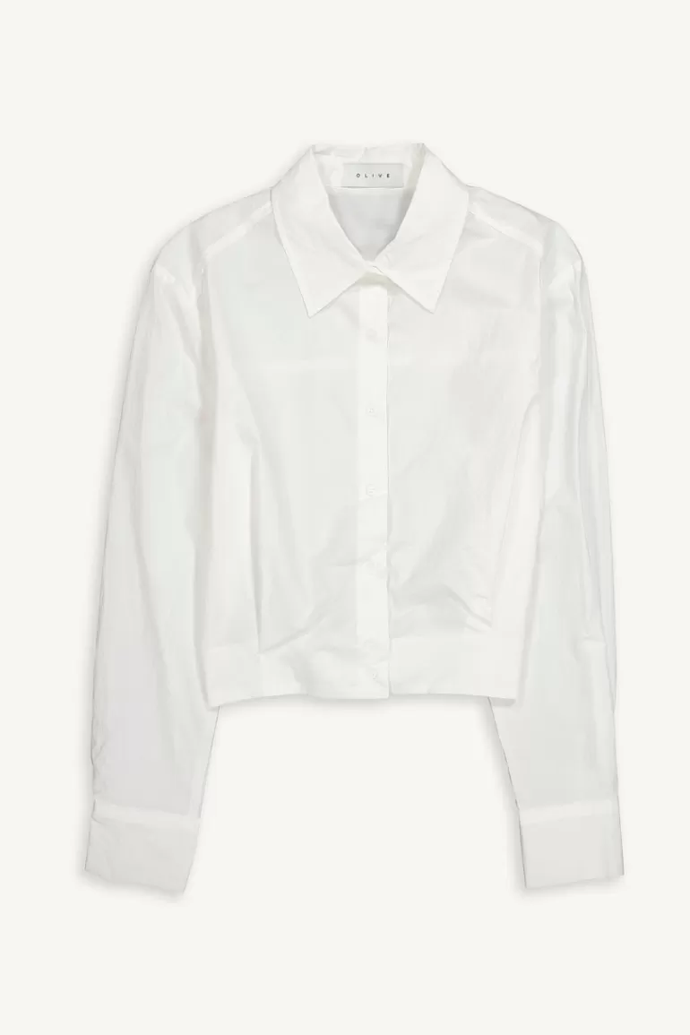 Women Olive Clothing Pin Tuck Crop Shirt, Ivory