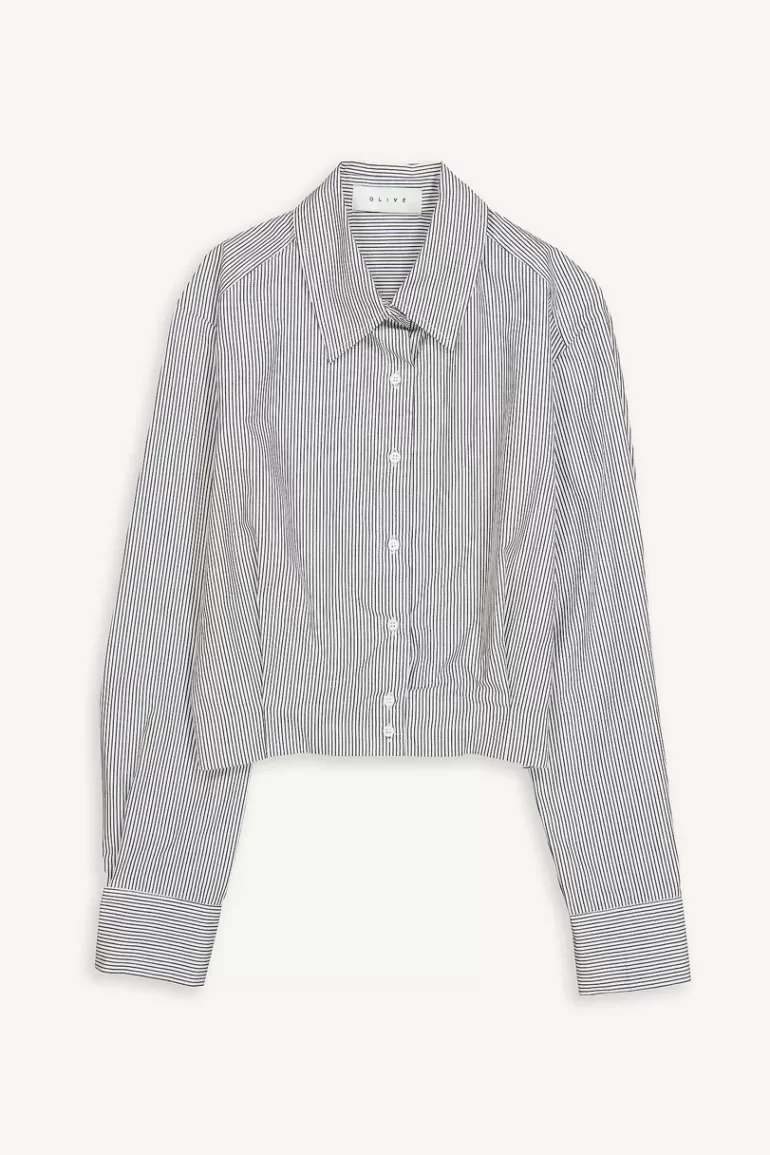 Women Olive Clothing Pin Tuck Crop Shirt, Stripe