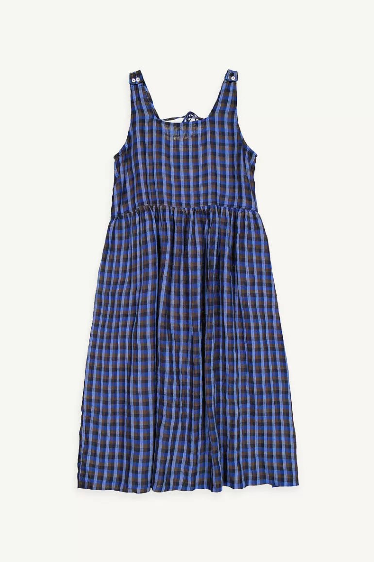 Women Olive Clothing Rona Blue Check Dress, Blue