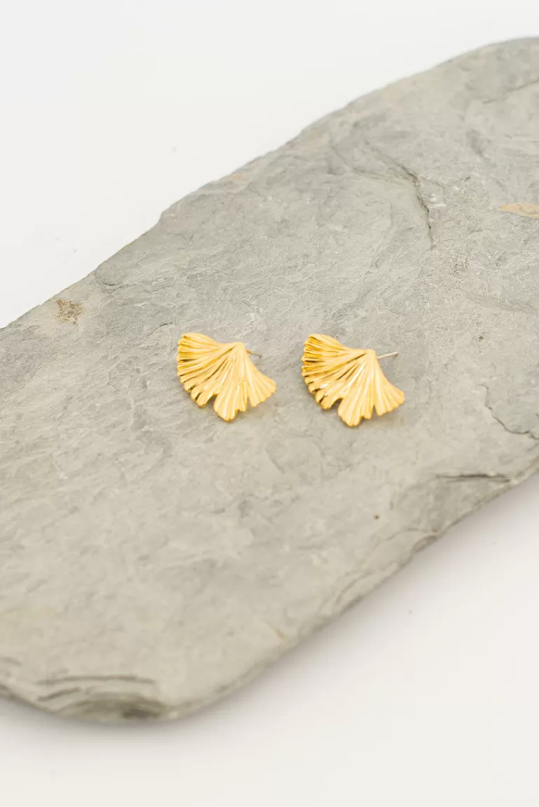 Women Olive Clothing Sasha Embossed Coral Earrings, Gold Plated