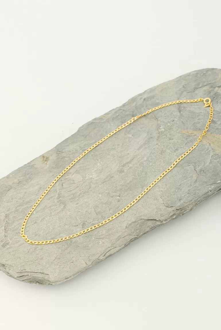 Women Olive Clothing Simple Chain Necklace, 14K Gold Plated