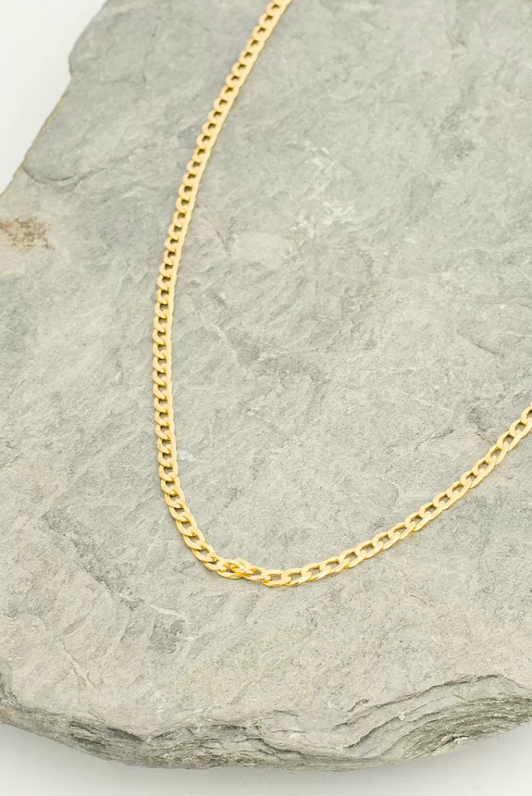 Women Olive Clothing Simple Chain Necklace, 14K Gold Plated