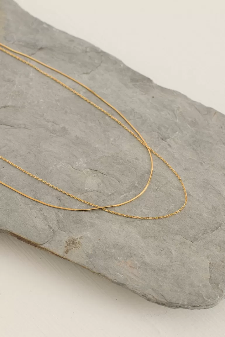 Women Olive Clothing Simple Double Chain Necklace, 14K Gold Plated