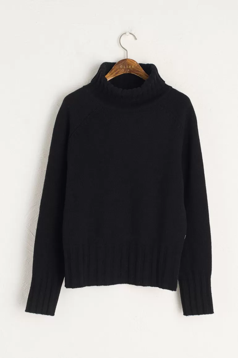 Women Olive Clothing Simple Roll Neck Jumper, Black