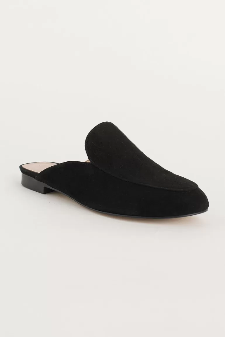 Women Olive Clothing Simple Suede Sliders, Black