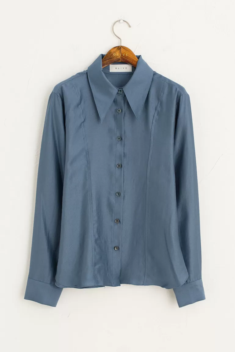 Women Olive Clothing Sonya Pointed Collar Blouse, Blue