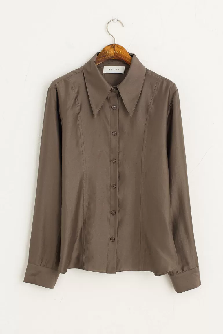 Women Olive Clothing Sonya Pointed Collar Blouse, Mocha