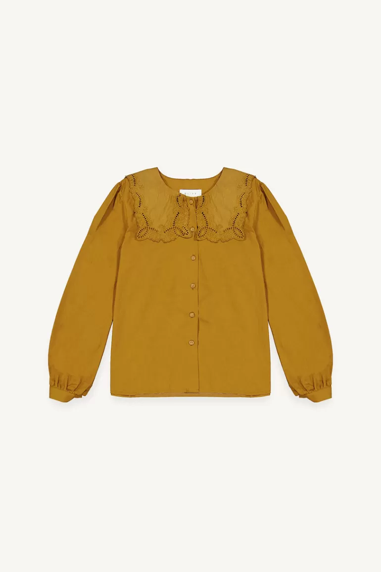 Women Olive Clothing Square Lace Collar Blouse, Camel