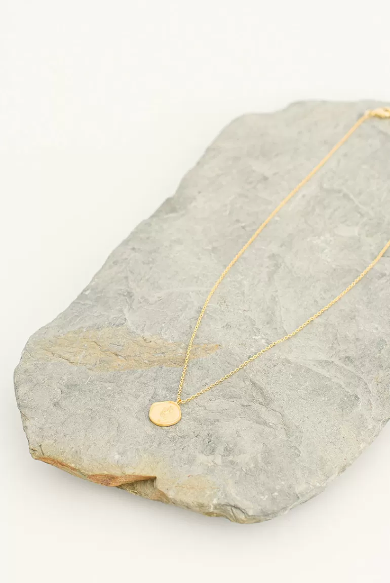 Women Olive Clothing Tulip Signet Necklace, Gold Plated