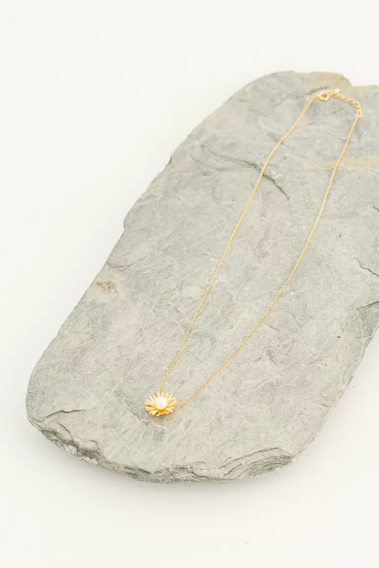 Women Olive Clothing Venus Pearl Point Flower Necklace, 14K Gold Plated